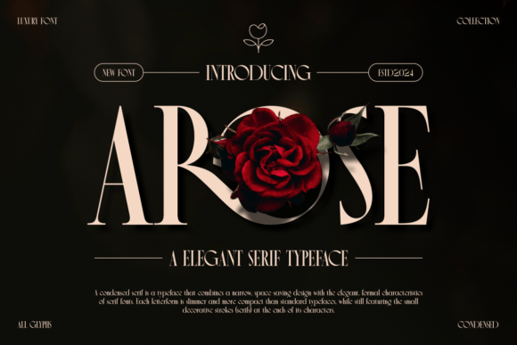 Arose Serif Font for Professional Branding