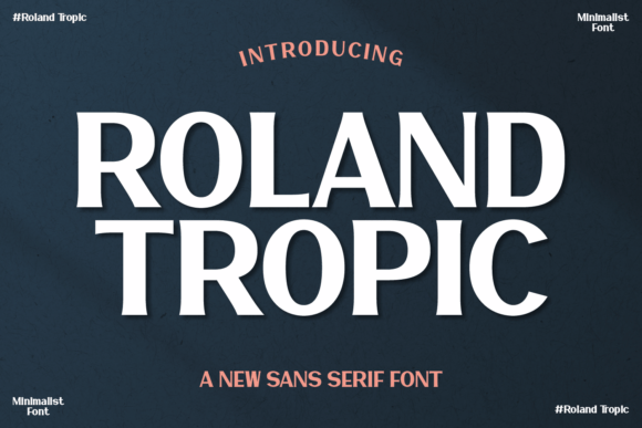 Discover Roland Tropic for Web Design Projects