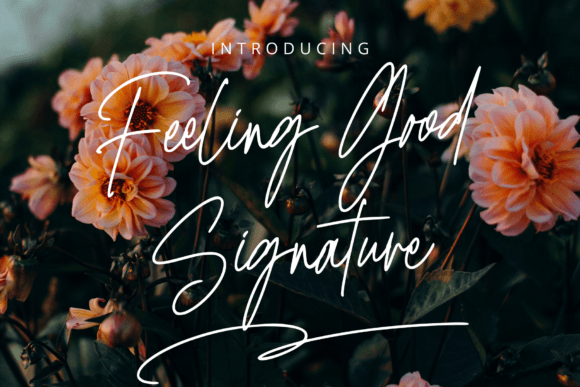 Feeling Good Signature Font for Web Design