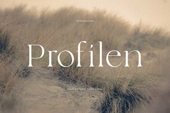 Profilen Serif Font for Web Design
