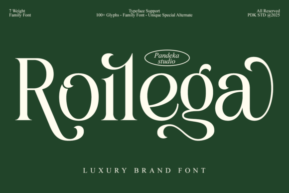 Roilega: A Font That Elevates Your Brand’s Visual Story